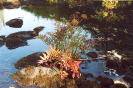Off the river